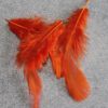 Soft Hackle Hen - Hot Orange