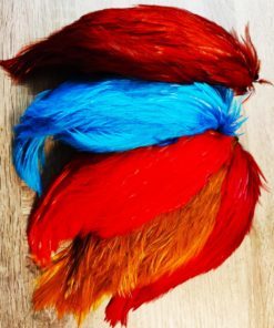 Rooster Capes