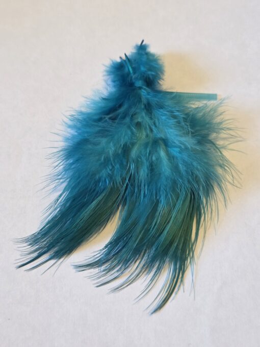 Pheasant bleeched and dyed kingfisher blue