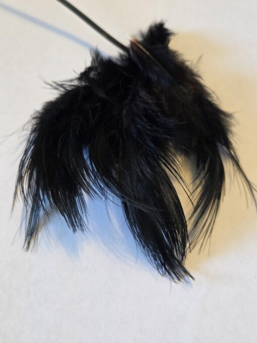 Pheasant bleeched and dyed  black