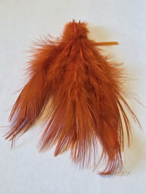 Pheasant bleeched and dyed orange
