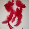 Soft Hackle Hen - hot red