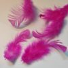 Soft Hackle Hen - pink fluo