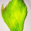 Rooster Neck fluo chartruese