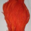 Rooster Neck orange