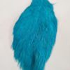 Hen cape colour fluo blue