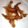 Soft Hackle Hen - Golden olive