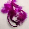 Teal feathers F pink