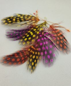 Guniea Fowl Feathers