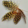 Guneia fowl feathers  Sunset Golden