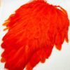 Hen Saddle Hot Orange