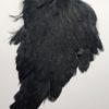 Hen Saddle Black