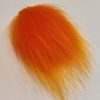 td Chinese Raccon -  Sunset Golden
