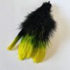 Hen Saddle Feathers Black/Green/yellow