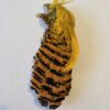 Pheasent Crest Colour Natural