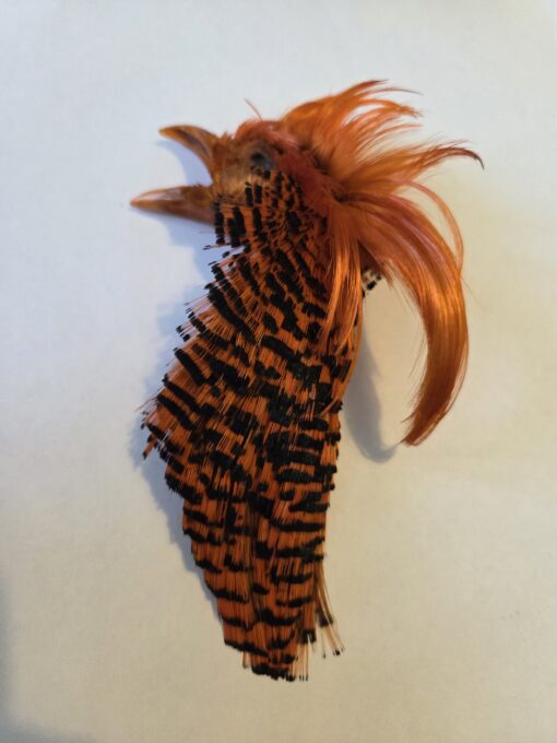 Pheasent Crest Colour Fluo-Orange
