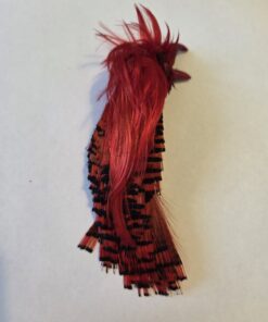 Pheasent Crest Colour Fluo-Red