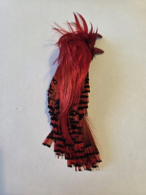 Pheasent Crest Colour Fluo-Red