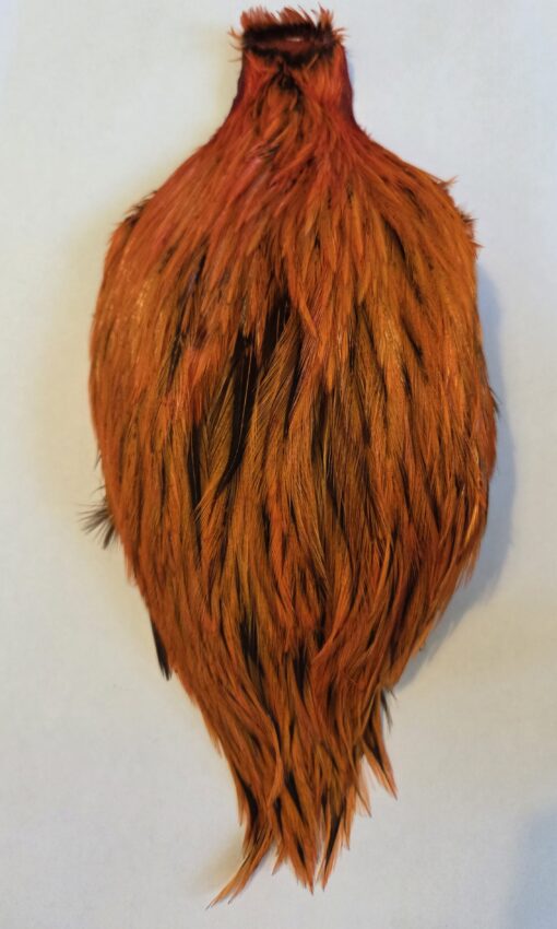 Badger Neck Colour Fluo-Orange