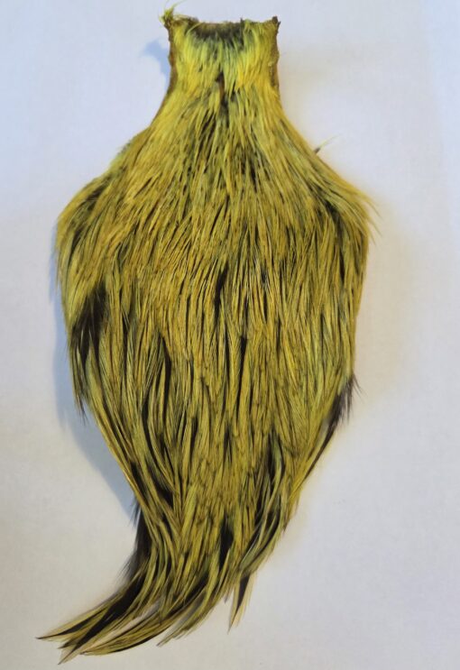 Badger Neck Colour Fluo-Yellow