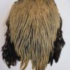 India Badger Colour Cream