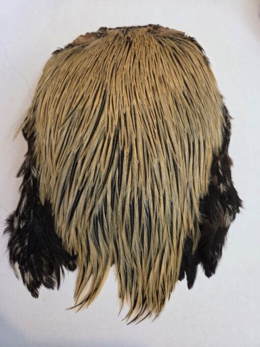 India Badger Colour Cream