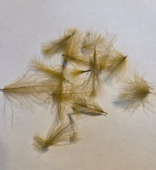 CDC Selected feathers colour Olive Golden