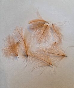 CDC Selected feathers colour light brown