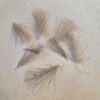 CDC Selected feathers colour Grey Natural