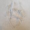 CDC Selected feathers colour White Natural